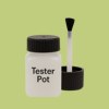 RAL 110 80 40 Paint Tester Pot