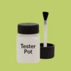 RAL 110 80 50 Paint Tester Pot