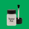 RAL 150 60 60 Paint Tester Pot