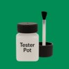 RAL 160 50 55 Paint Tester Pot
