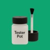 RAL 160 60 50 Paint Tester Pot