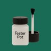 RAL 170 40 30 Paint Tester Pot