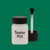 RAL 170 40 50 Paint Tester Pot