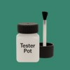 RAL 170 50 30 Paint Tester Pot