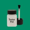 RAL 170 50 55 Paint Tester Pot