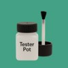 RAL 170 60 35 Paint Tester Pot