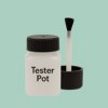 RAL 170 80 15 Paint Tester Pot