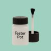 RAL 170 80 20 Paint Tester Pot
