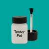RAL 190 60 45 Paint Tester Pot