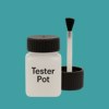 RAL 200 60 30 Paint Tester Pot