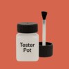 RAL 2012 Salmon Orange Paint Tester Pot