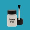 RAL 220 60 35 Paint Tester Pot