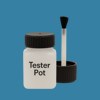 RAL 240 50 30 Paint Tester Pot