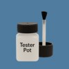 RAL 250 50 25 Paint Tester Pot