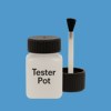 RAL 250 60 35 Paint Tester Pot