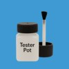 RAL 250 60 40 Paint Tester Pot
