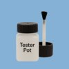 RAL 250 70 25 Paint Tester Pot
