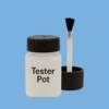 RAL 250 70 30 Paint Tester Pot