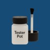RAL 260 30 30 Paint Tester Pot