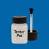 RAL 260 40 45 Paint Tester Pot
