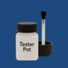 RAL 270 30 35 Paint Tester Pot