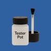 RAL 270 40 40 Paint Tester Pot
