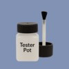 RAL 270 60 20 Paint Tester Pot
