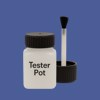 RAL 280 40 35 Paint Tester Pot