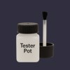 RAL 290 20 10 Paint Tester Pot