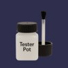 RAL 290 20 20 Paint Tester Pot