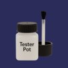 RAL 290 20 30 Paint Tester Pot