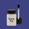 RAL 290 30 40 Paint Tester Pot