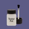 RAL 290 40 25 Paint Tester Pot
