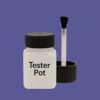 RAL 290 40 35 Paint Tester Pot