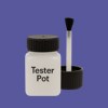 RAL 290 40 40 Paint Tester Pot