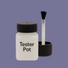 RAL 290 50 20 Paint Tester Pot