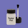 RAL 290 50 40 Paint Tester Pot