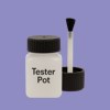 RAL 290 60 30 Paint Tester Pot