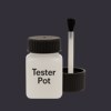 RAL 300 20 05 Paint Tester Pot