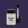 RAL 300 20 25 Paint Tester Pot