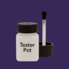 RAL 300 20 30 Paint Tester Pot