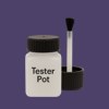 RAL 300 30 25 Paint Tester Pot
