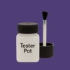 RAL 300 30 35 Paint Tester Pot