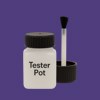 RAL 300 30 40 Paint Tester Pot