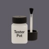RAL 300 40 05 Paint Tester Pot