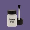 RAL 300 40 25 Paint Tester Pot