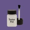 RAL 300 40 30 Paint Tester Pot