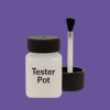 RAL 300 40 40 Paint Tester Pot
