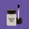 RAL 300 40 45 Paint Tester Pot
