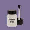 RAL 300 50 20 Paint Tester Pot